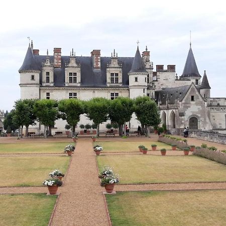 Appartement Au Calme, Avec Parc Prive, 50M Du Tram Tours Eksteriør bilde